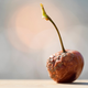 Image for article titled Forget food shortages—excess produce is going to waste during the pandemic